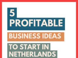 5 profitable business ideas the Netherlands