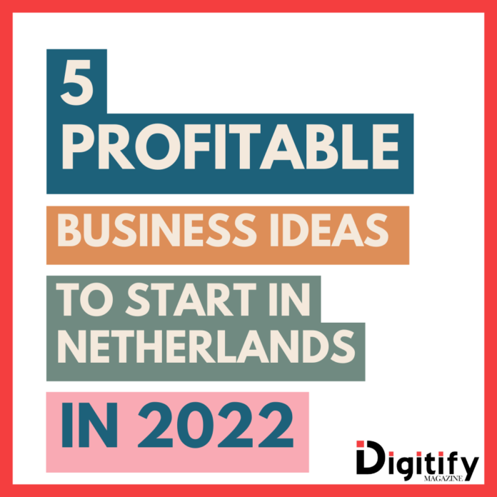 5 profitable business ideas the Netherlands