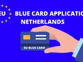 EU BLUE CARD APPLICATION