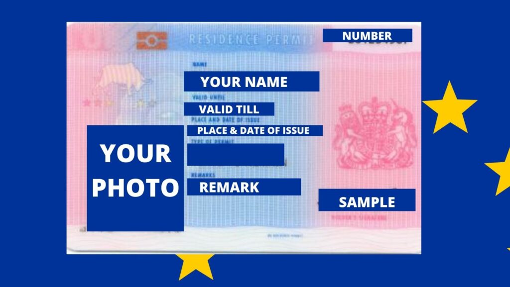 EU Blue Card Application Netherlands